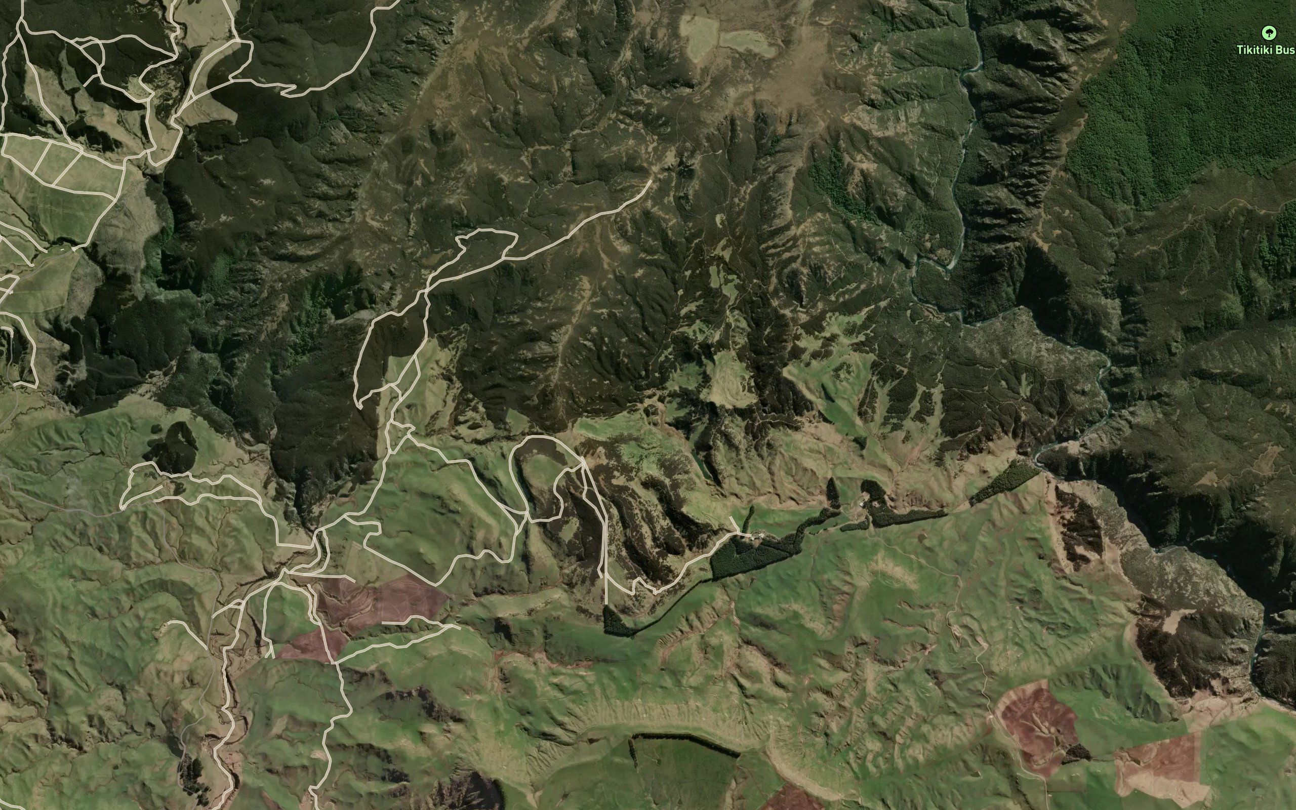 Ohinewaione Stream