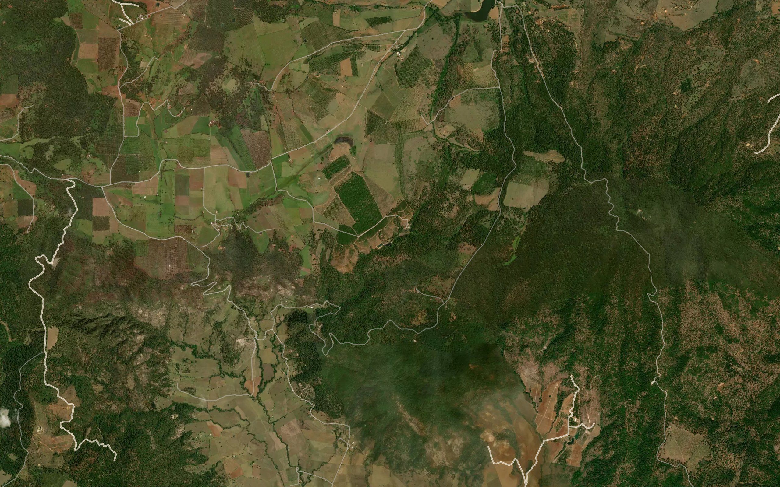 Barranca El Tule