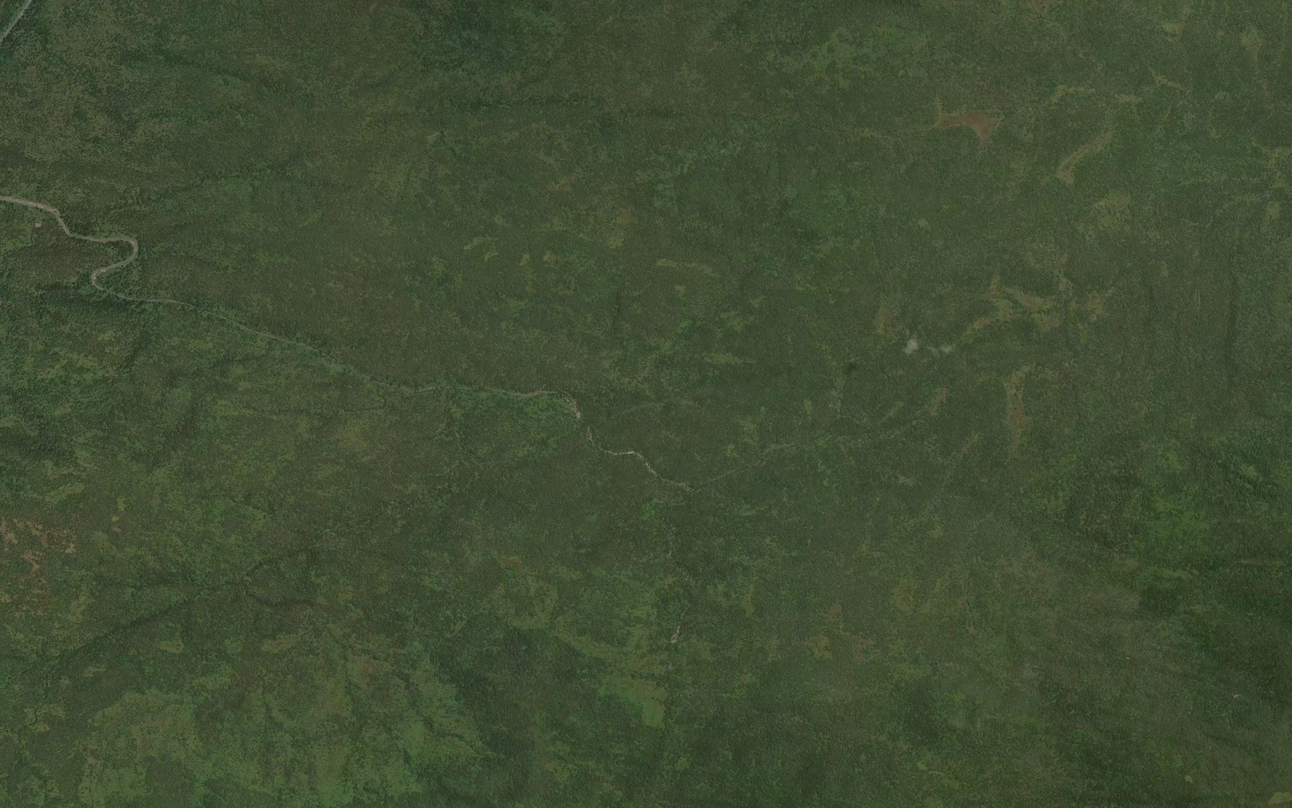Dzingtan