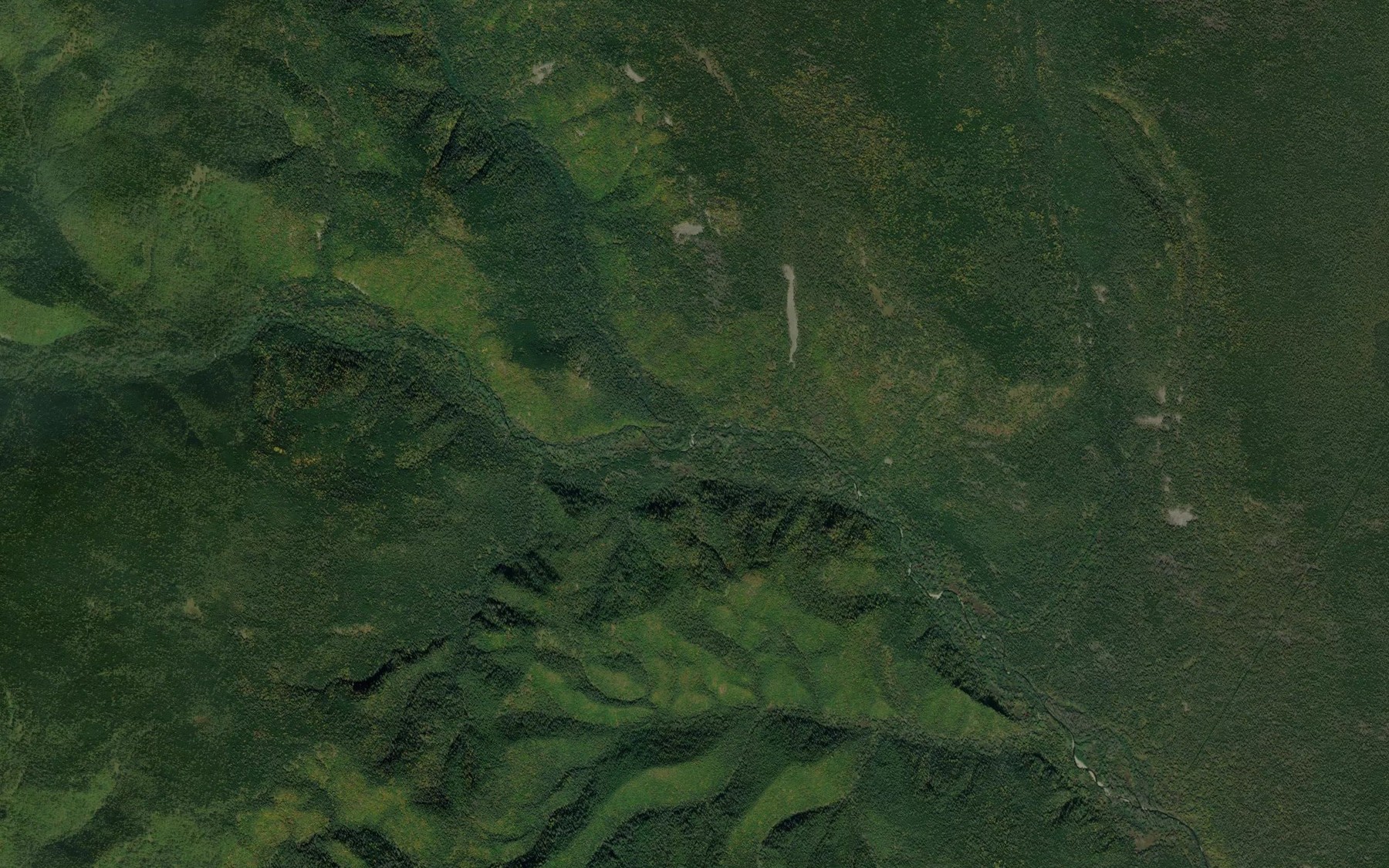 Satellite map of the Parnyy