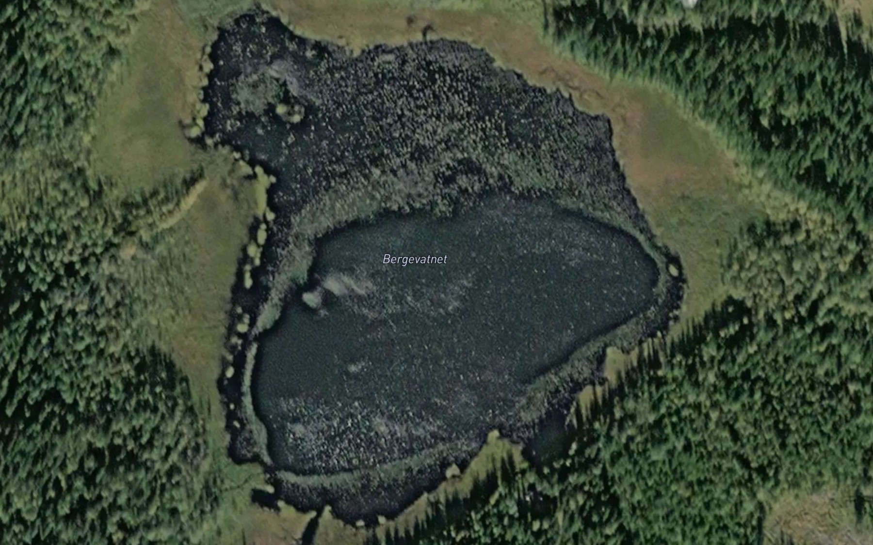 Satellite map of the Bergevatnet