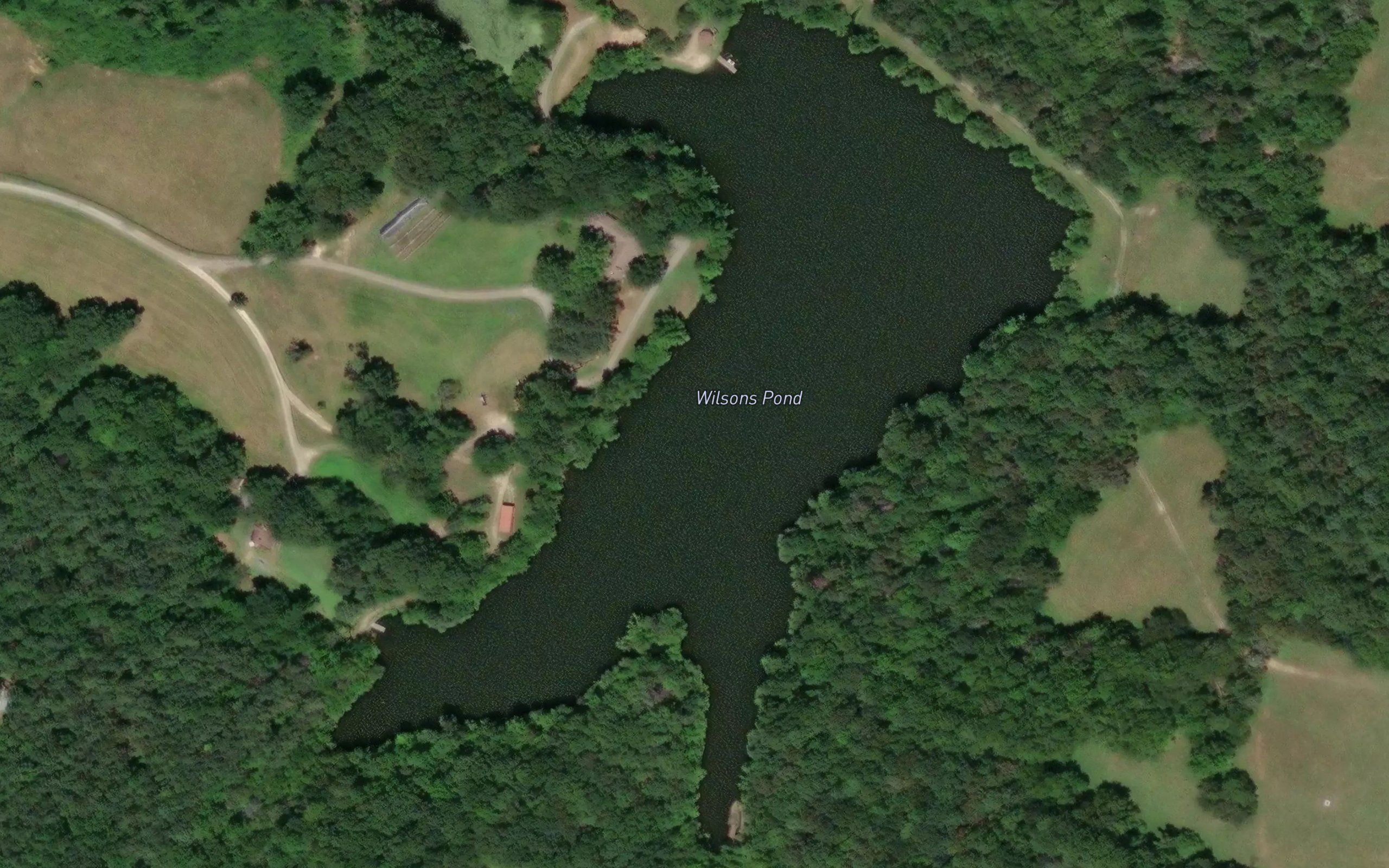Wilsons Pond