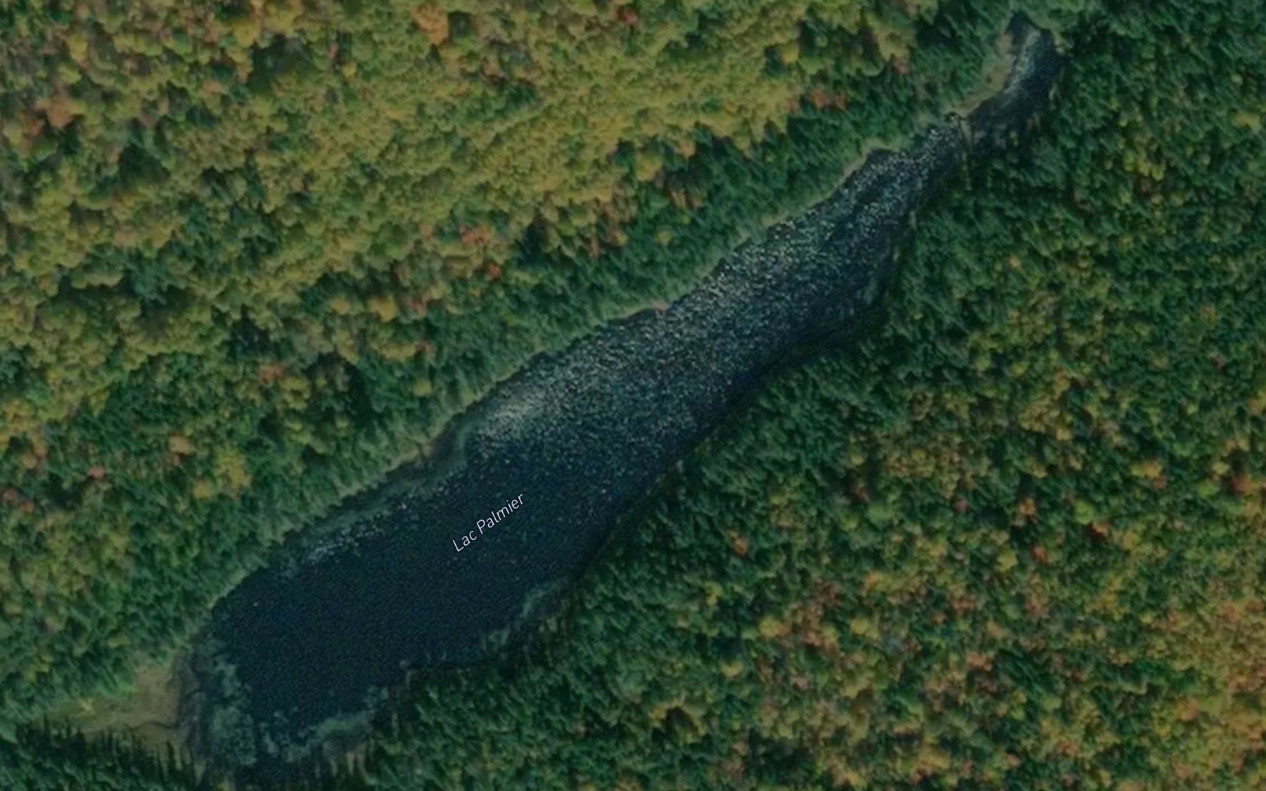 Satellite map of the Lac Palmier