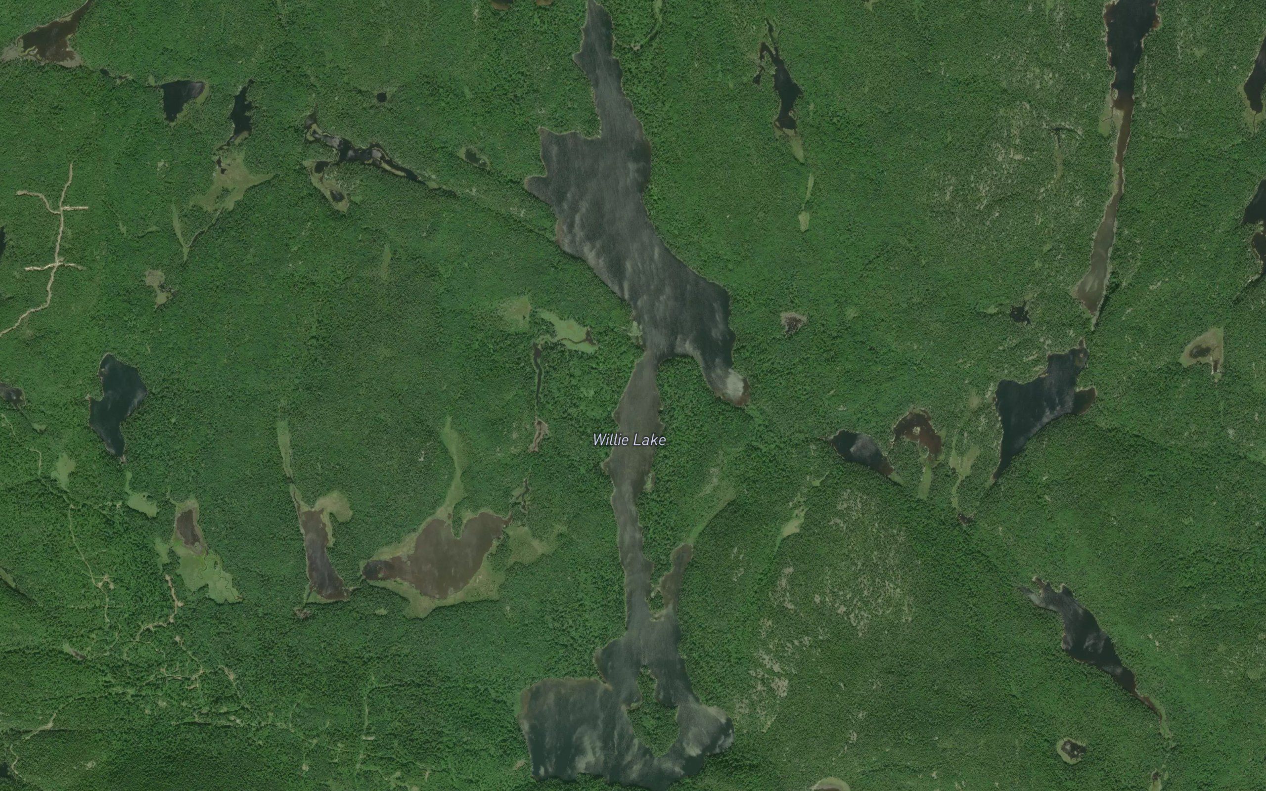 Willie Lake