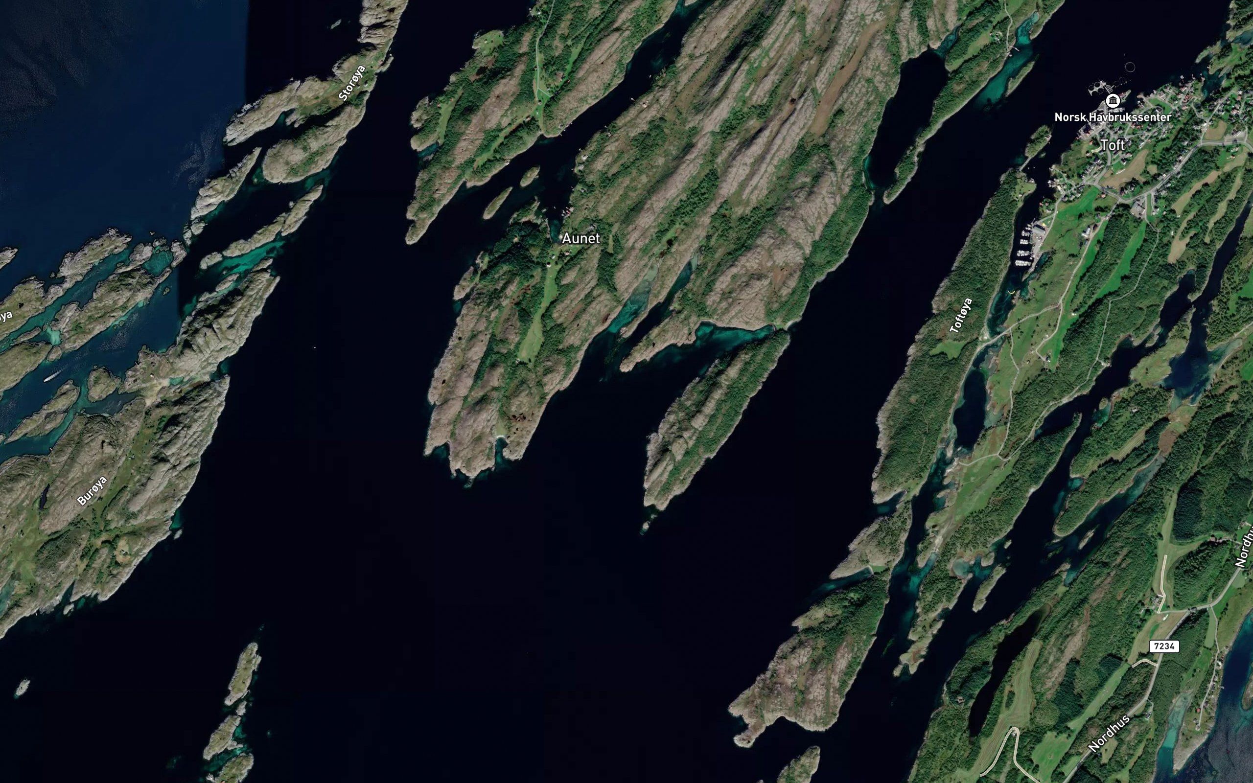 Selvagen