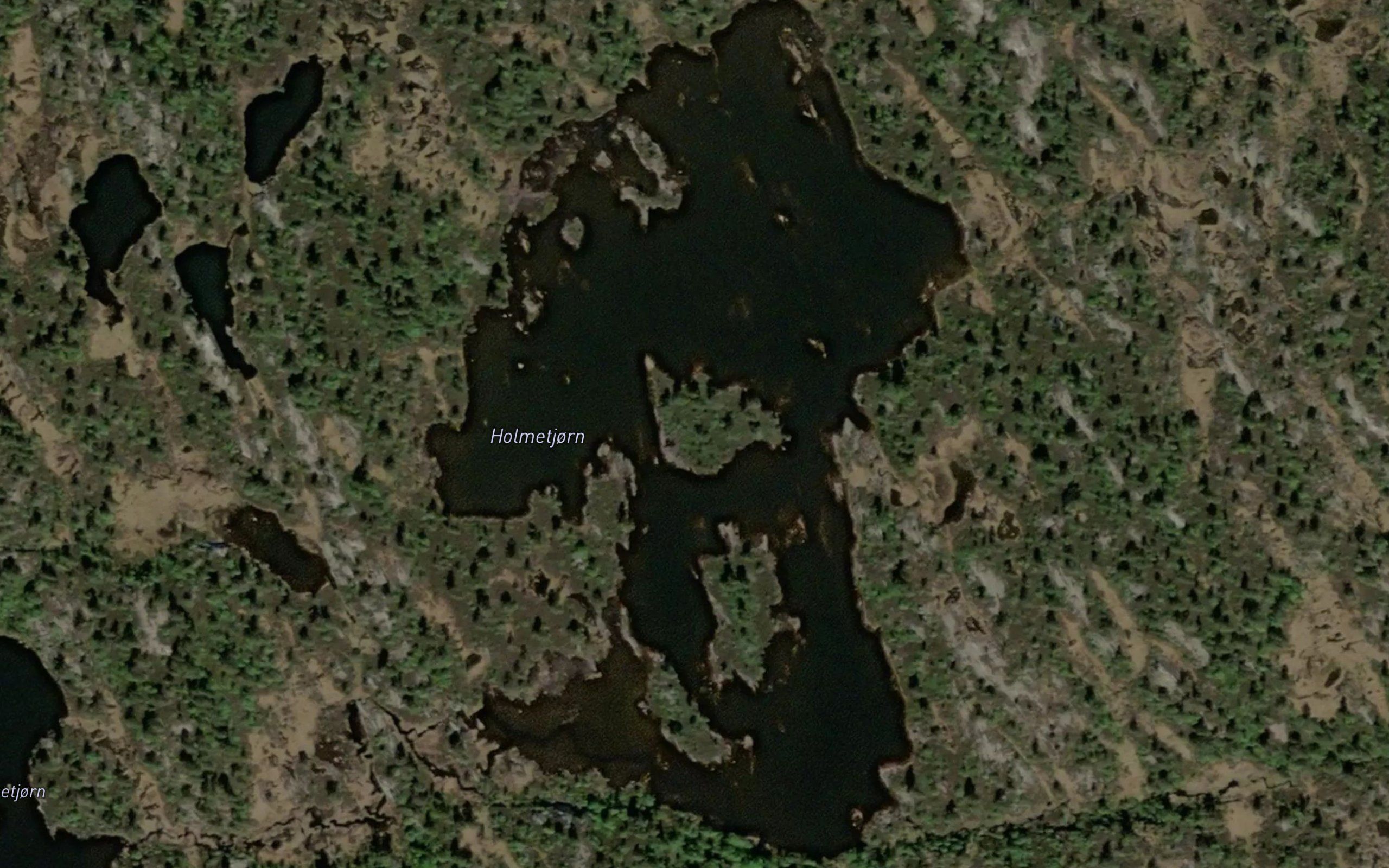 Holmetjorn