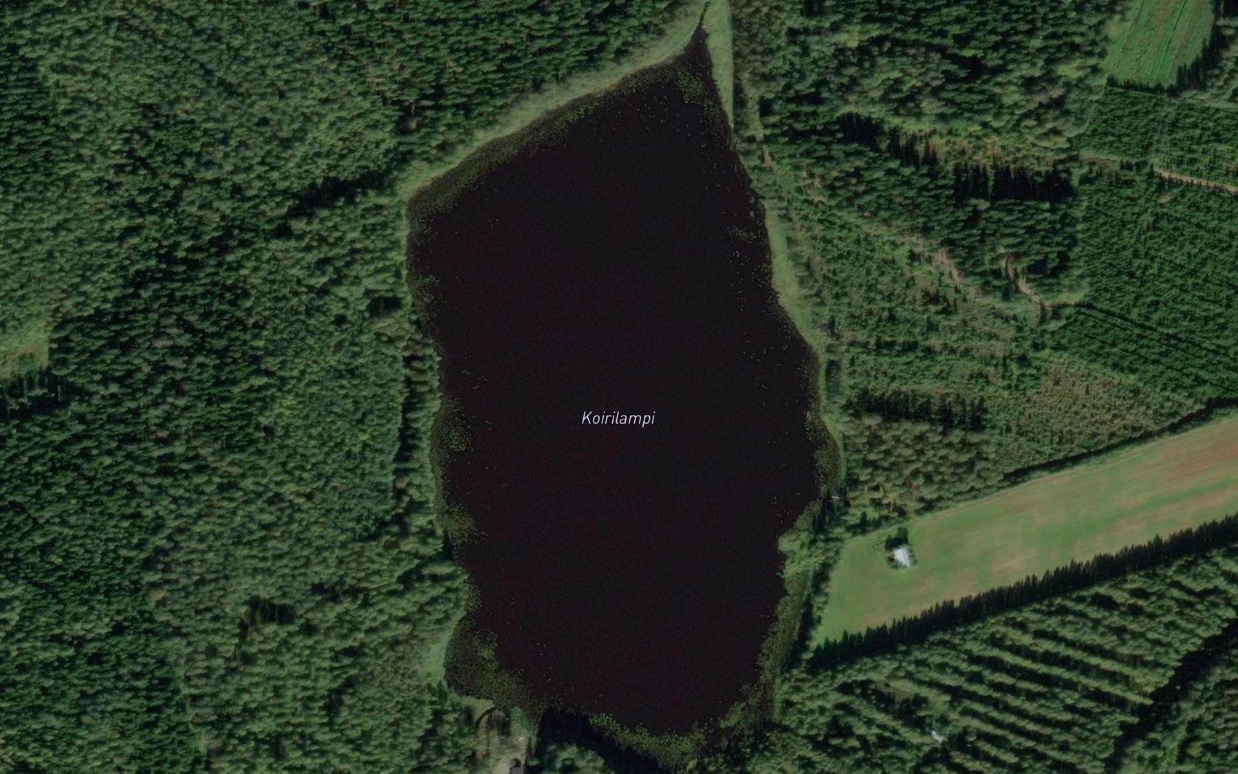 Satellite map of the Koirilampi