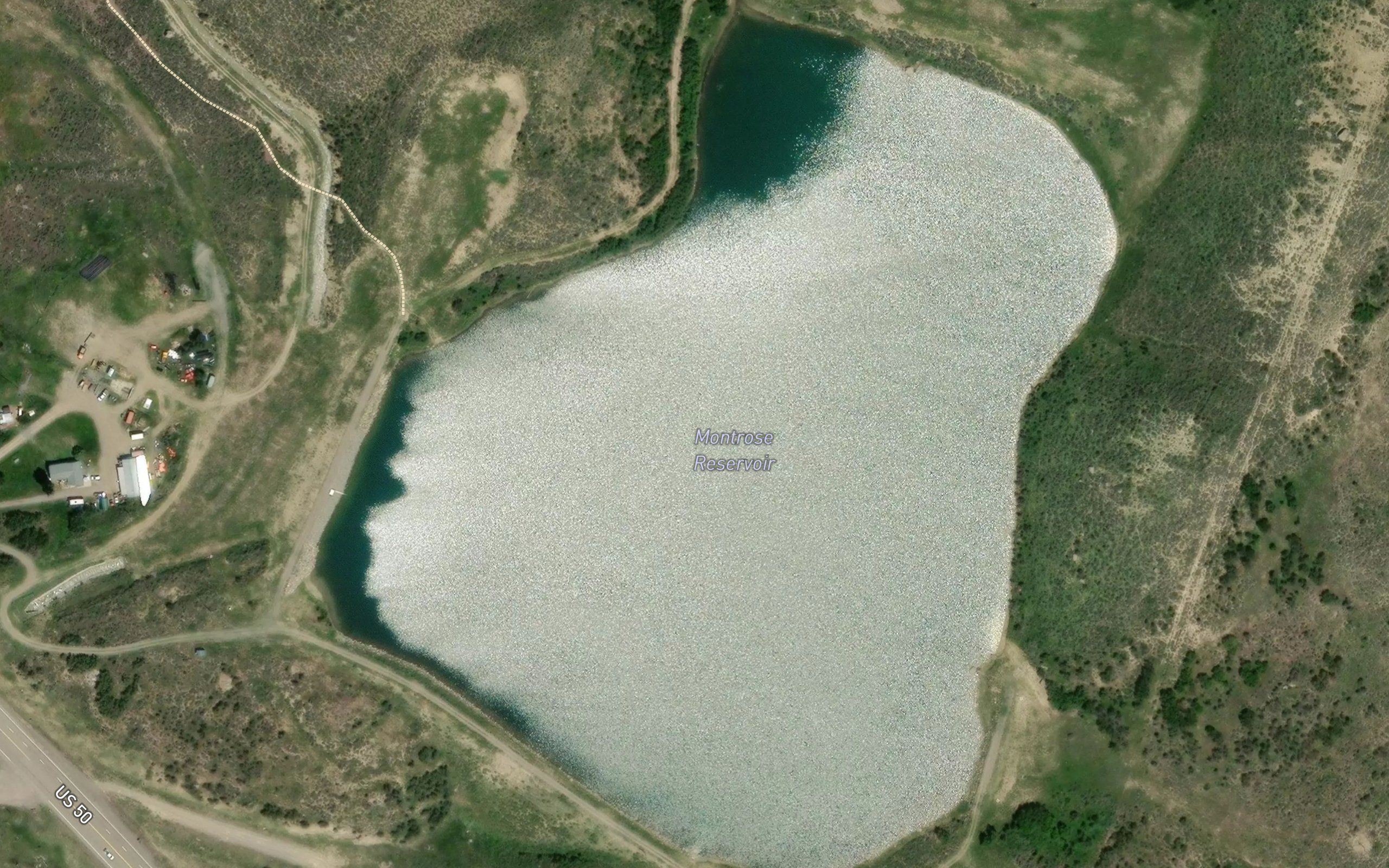 Montrose Reservoir