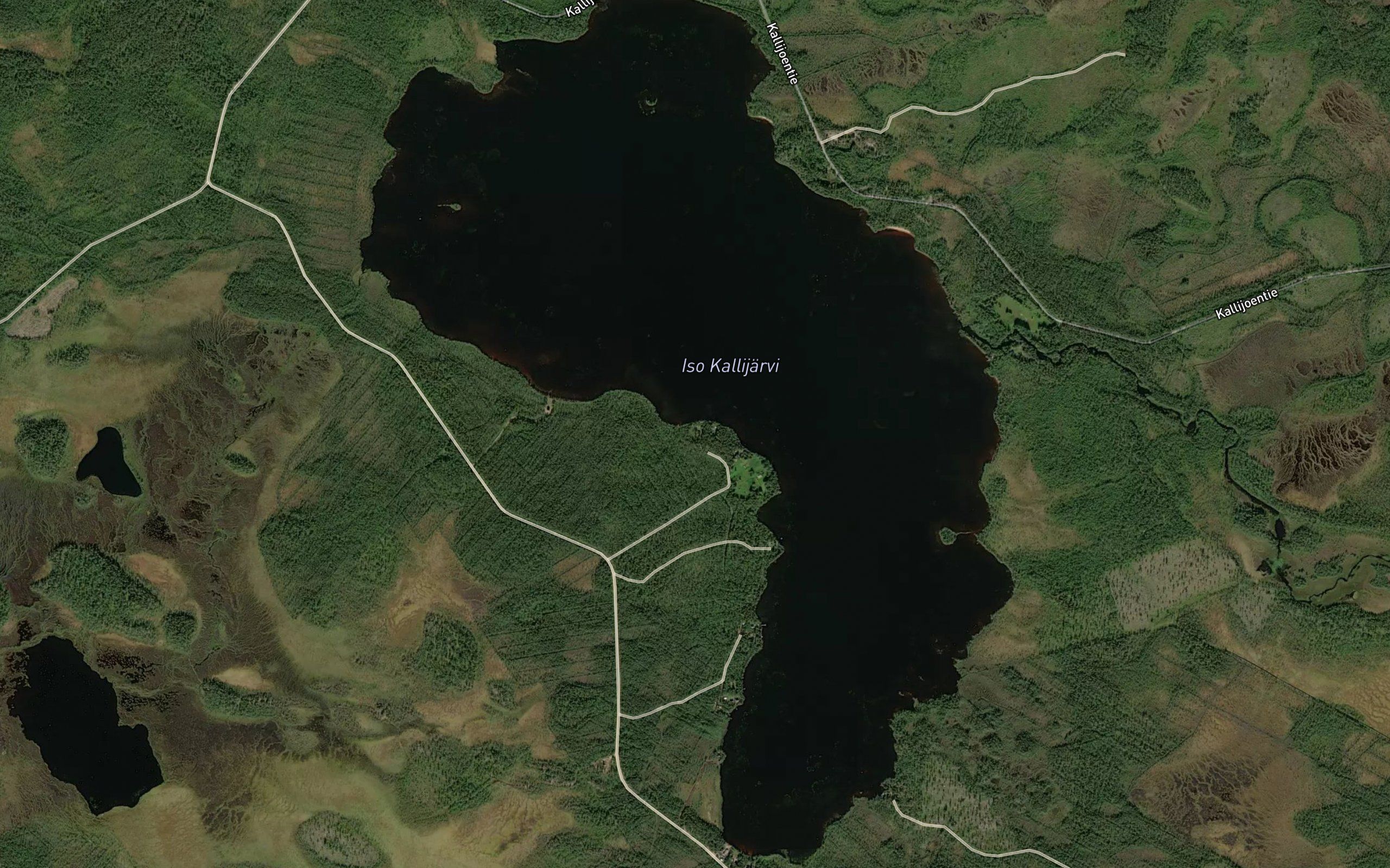 Iso Kallijarvi