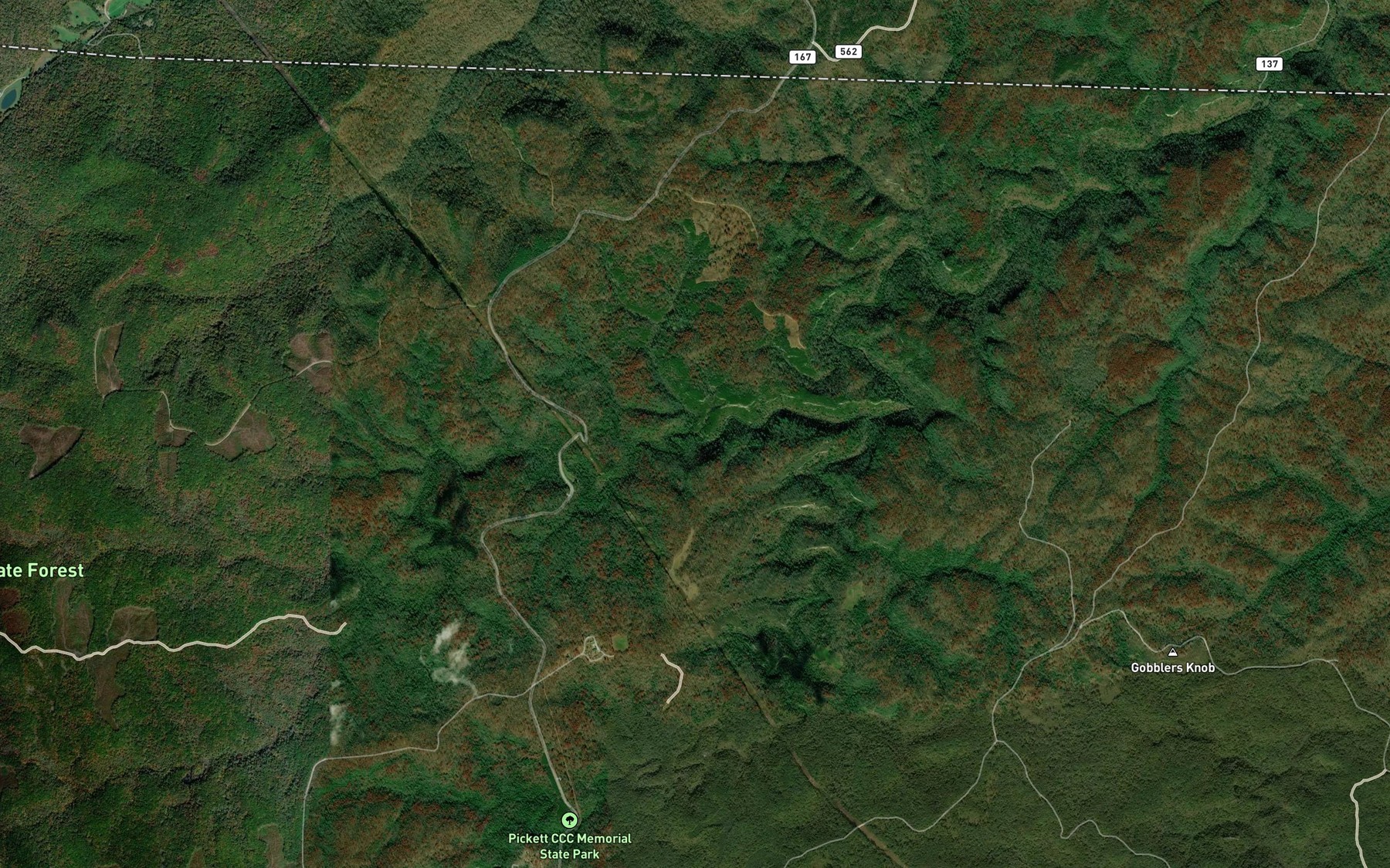 Satellite map of the Poplar Spring Branch