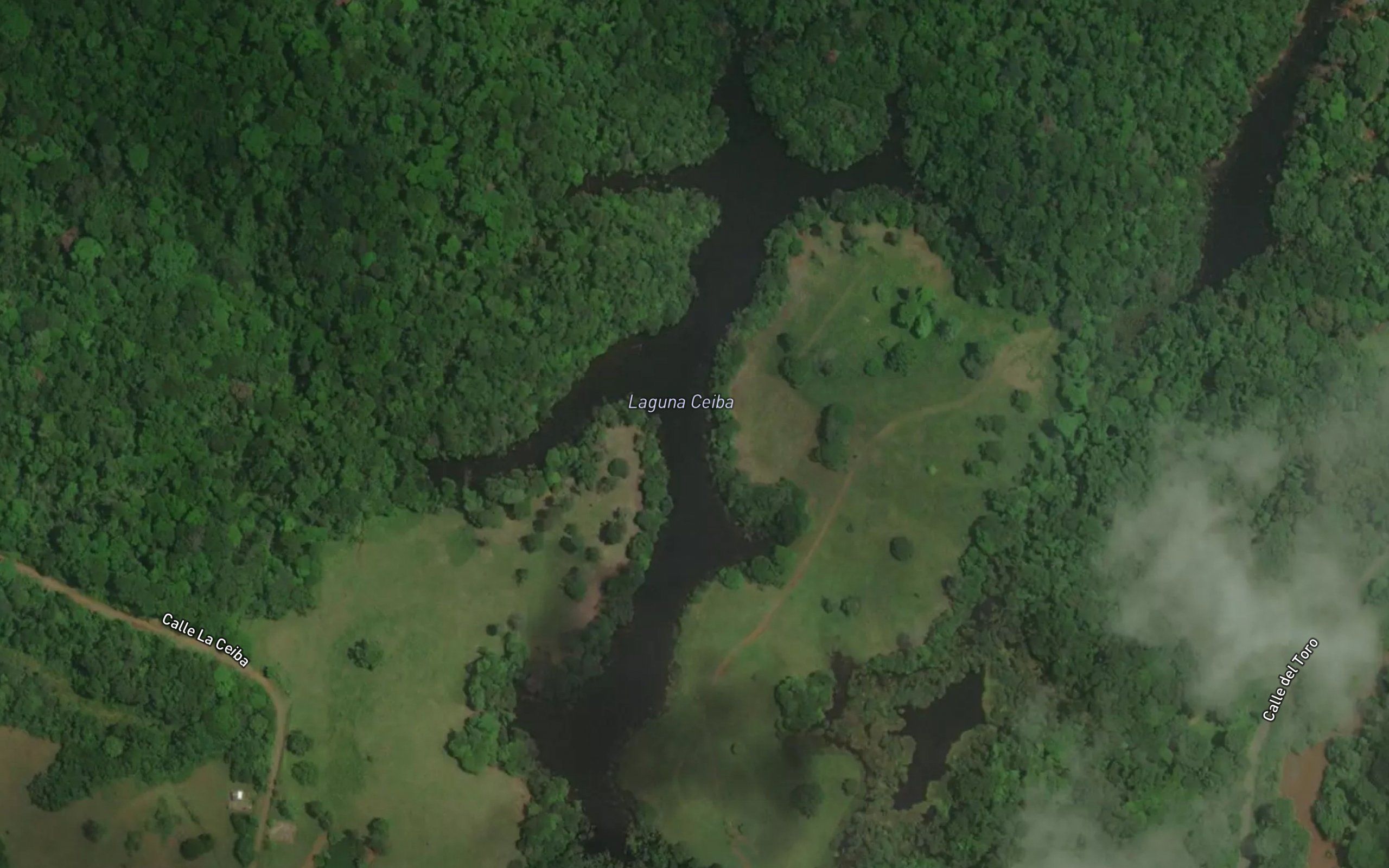 Laguna Ceiba