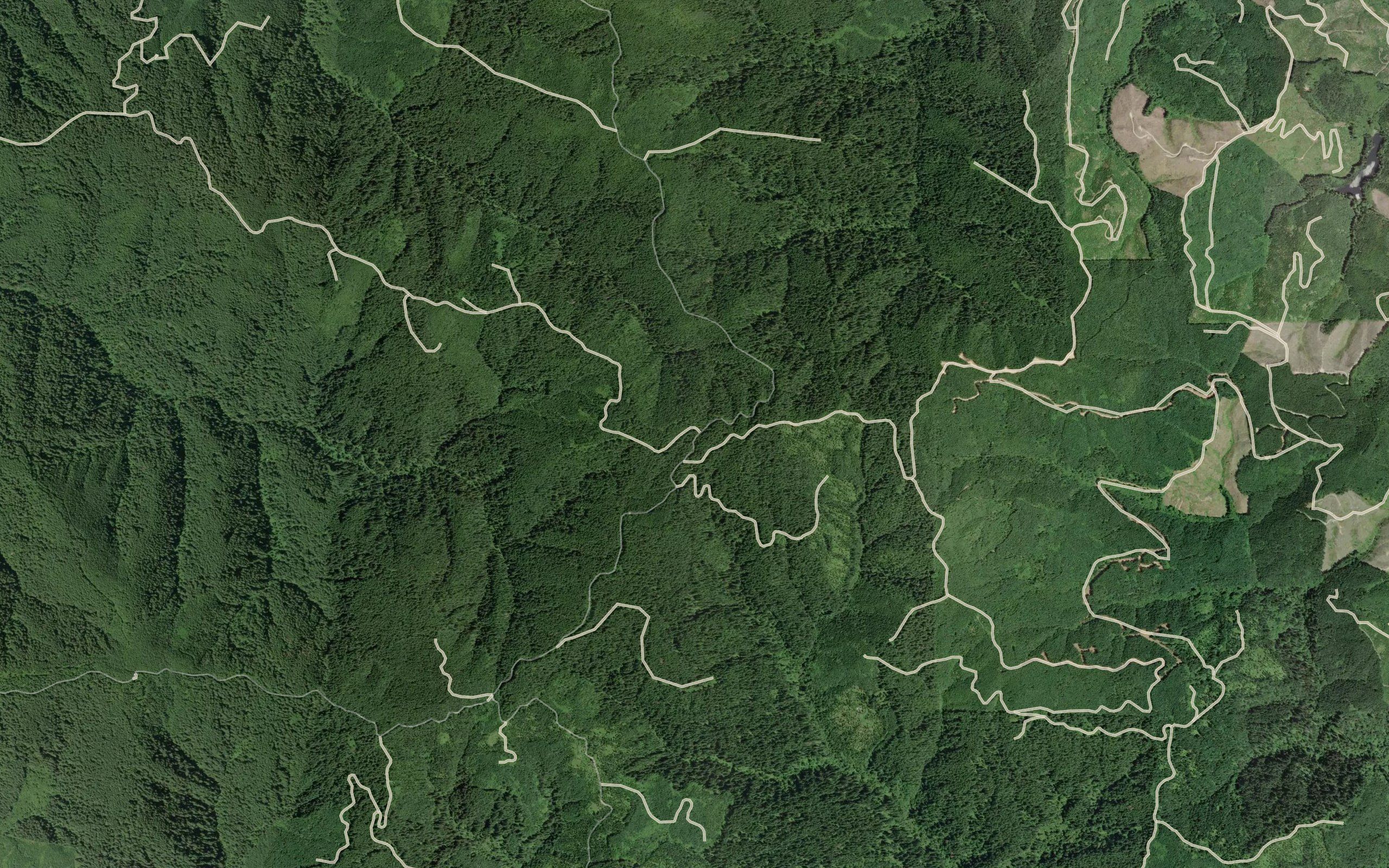 Klickitat Spring