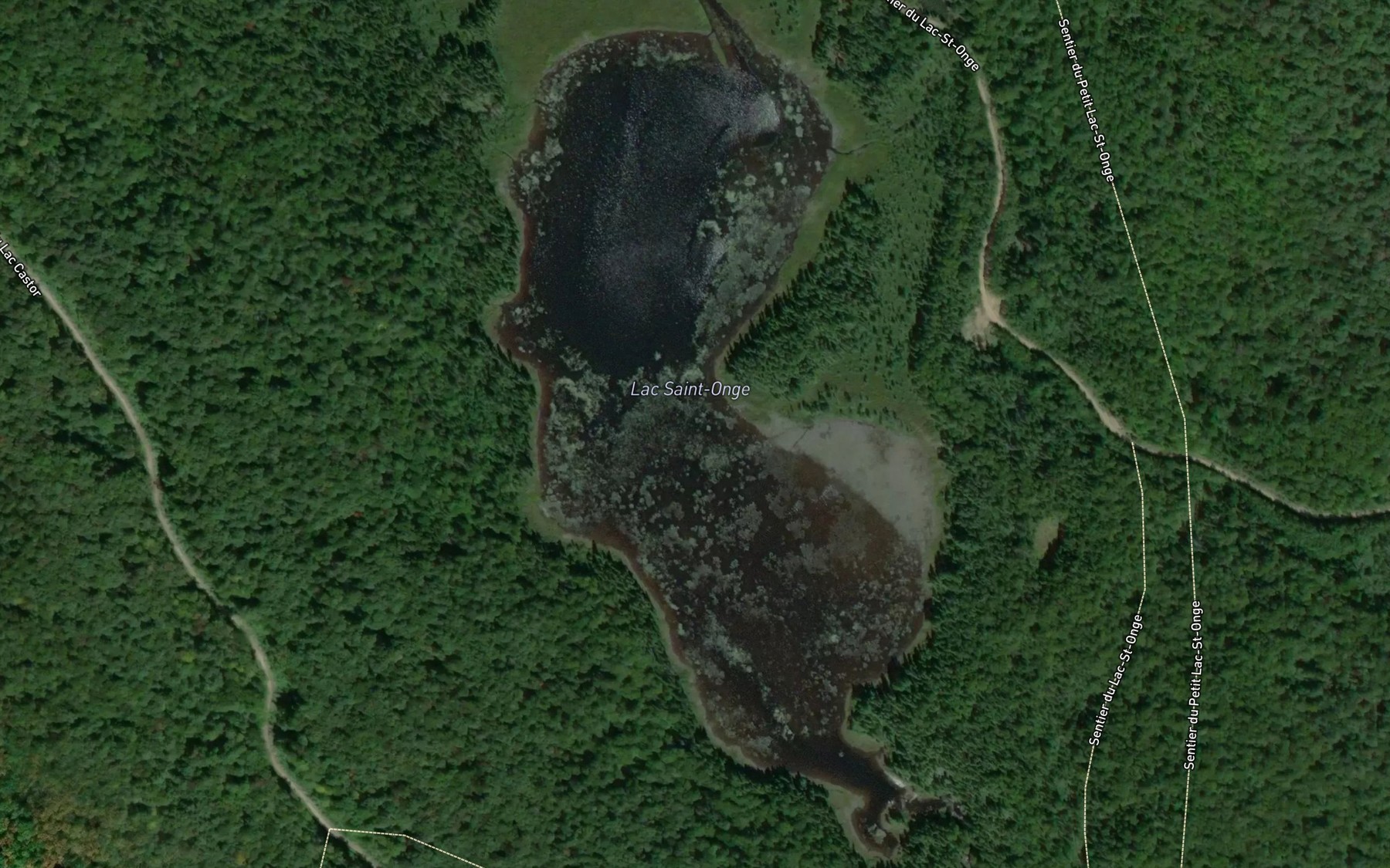 Satellite map of the Lac Saint-Onge