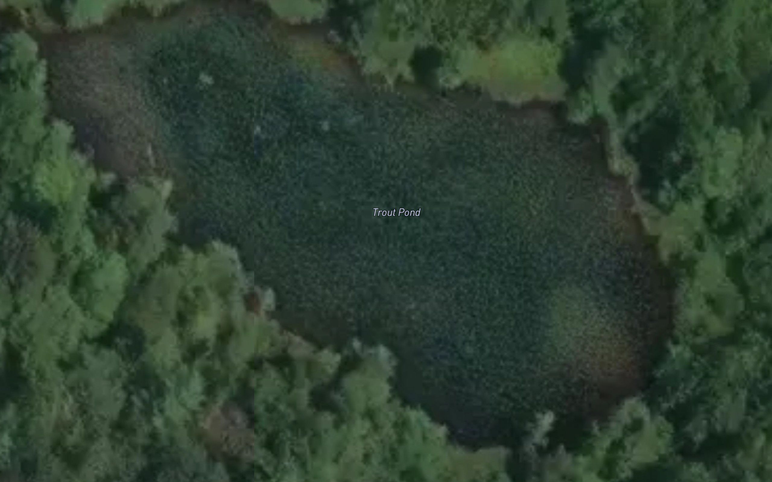 Trout Pond
