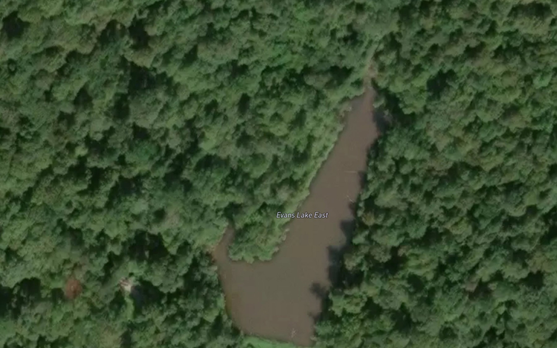 Satellite map of the Evans Lake East