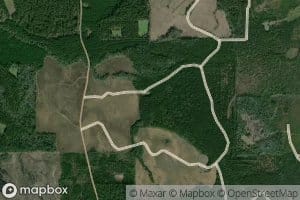 Willie Lee Creek