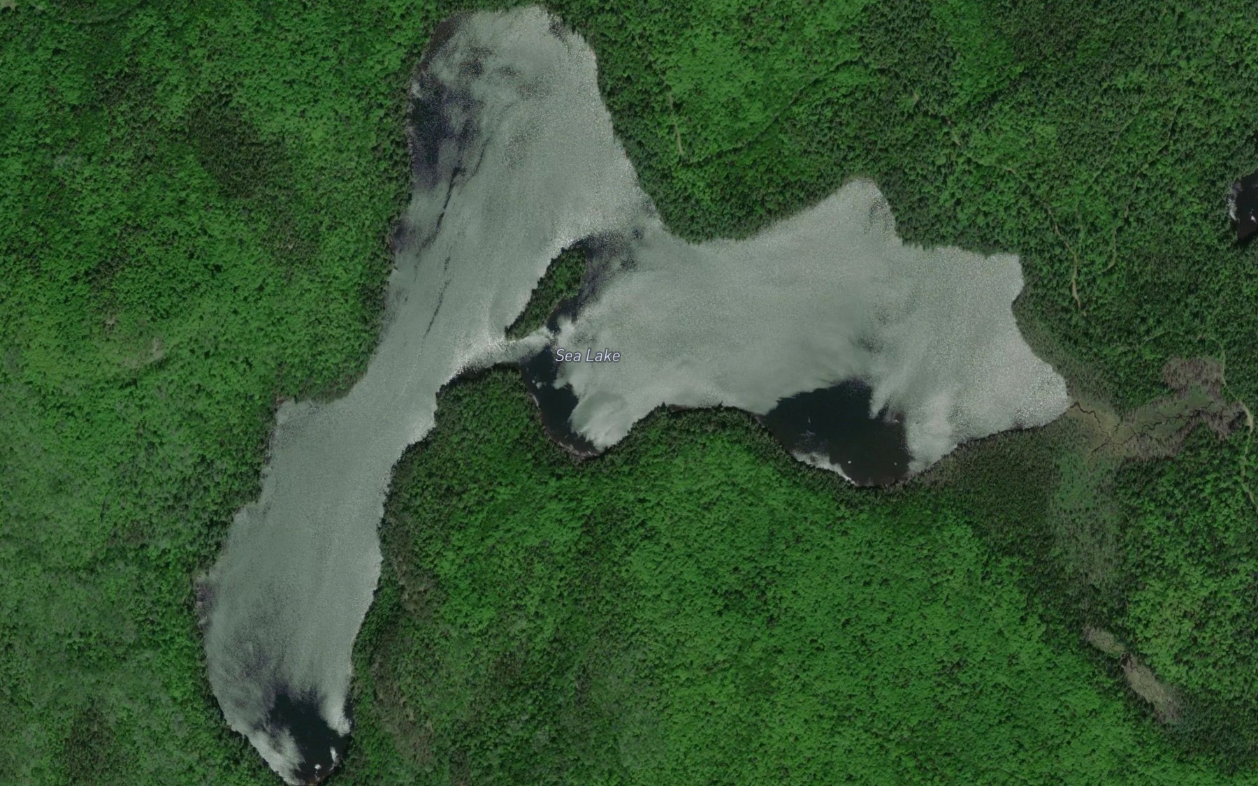 Satellite map of the Sea Lake