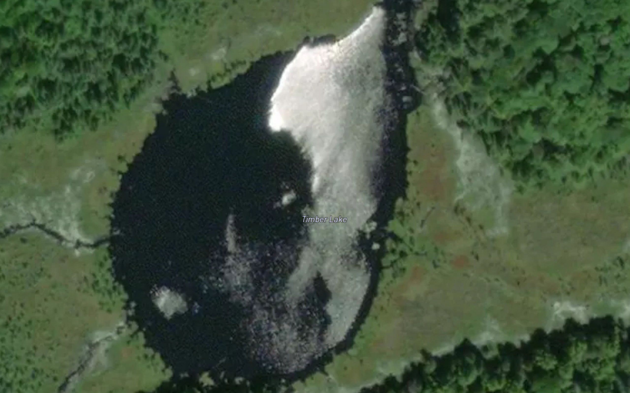 Timber Lake