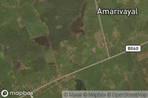 Amarivayal Tank