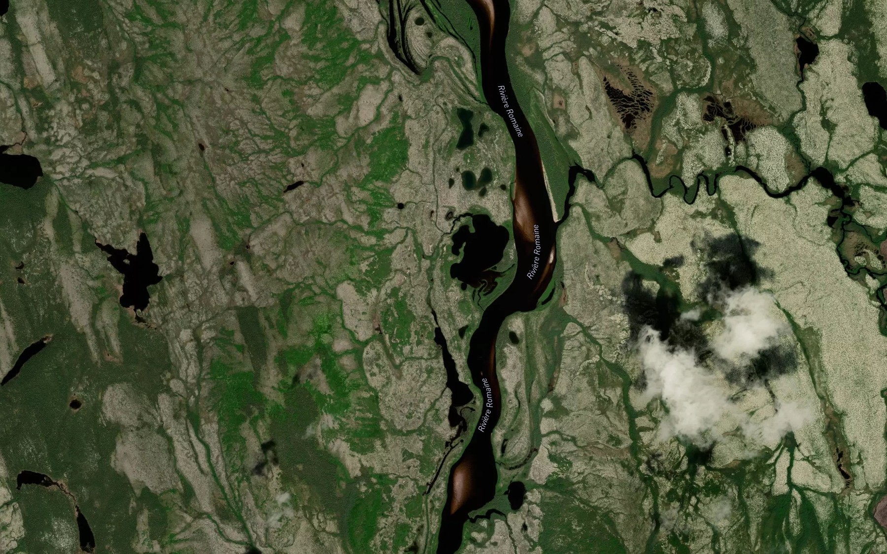 Satellite map of the Bras mort Pitapekua