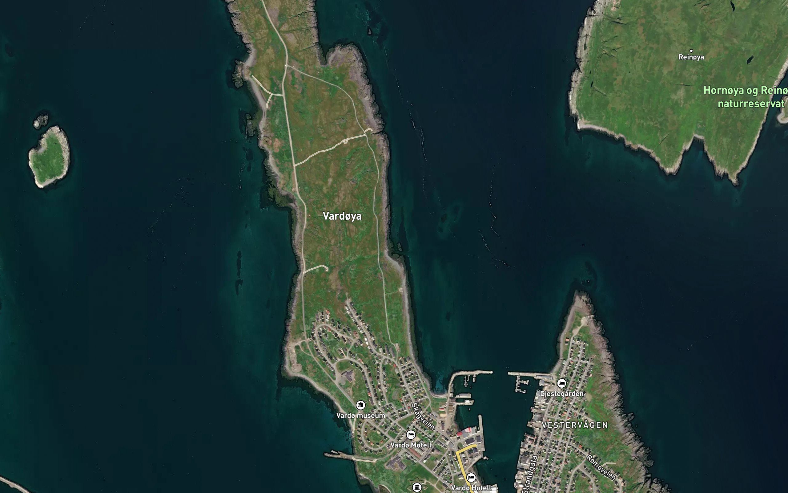 Lillesvinvika