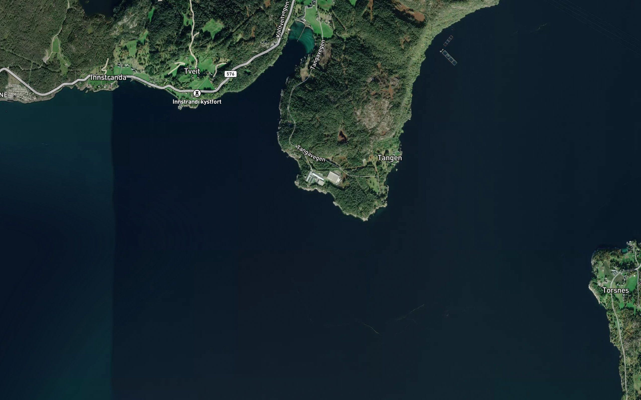 Asalvika