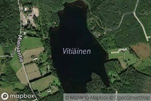 Vitiainen
