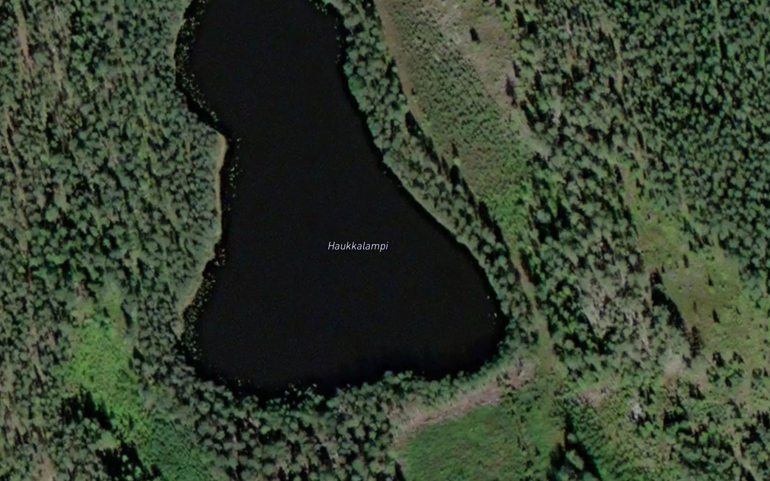 Haukkalampi