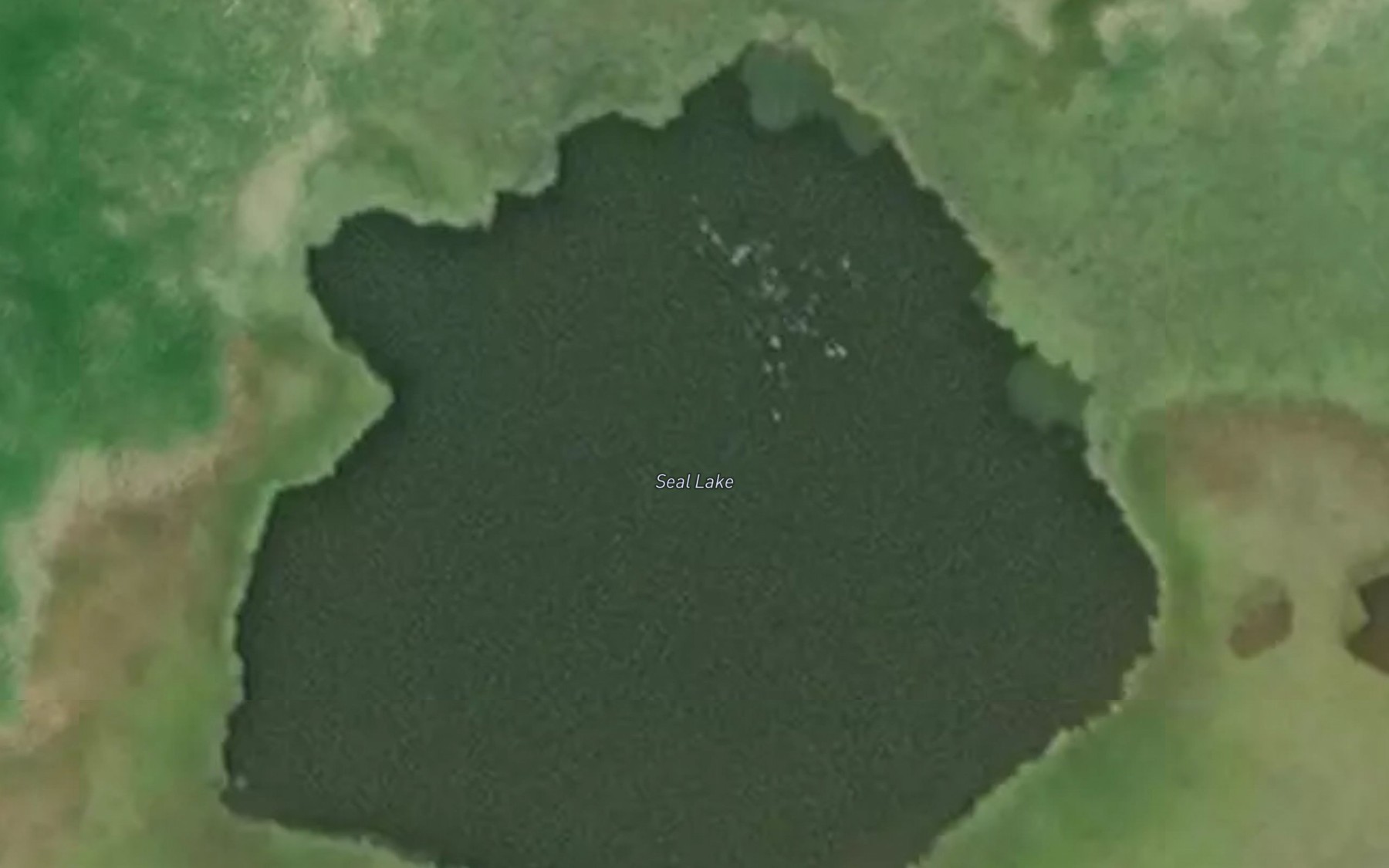 Satellite map of the Seal Lake