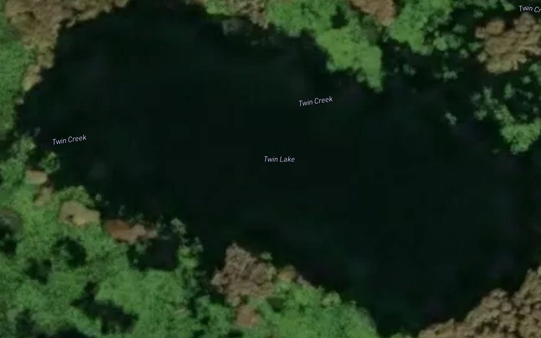 Satellite map of the Twin Lake
