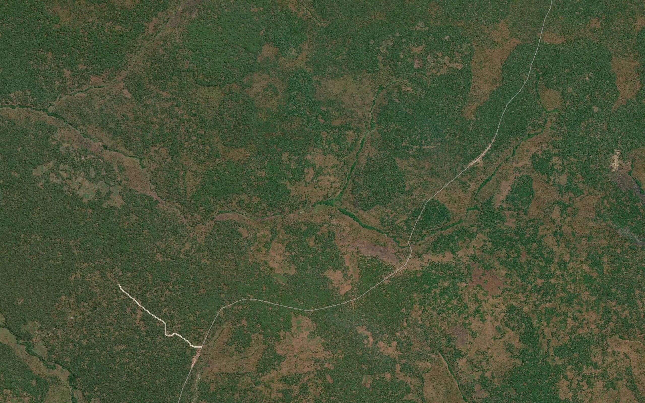 Kamwana