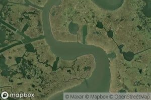 Rice Bayou