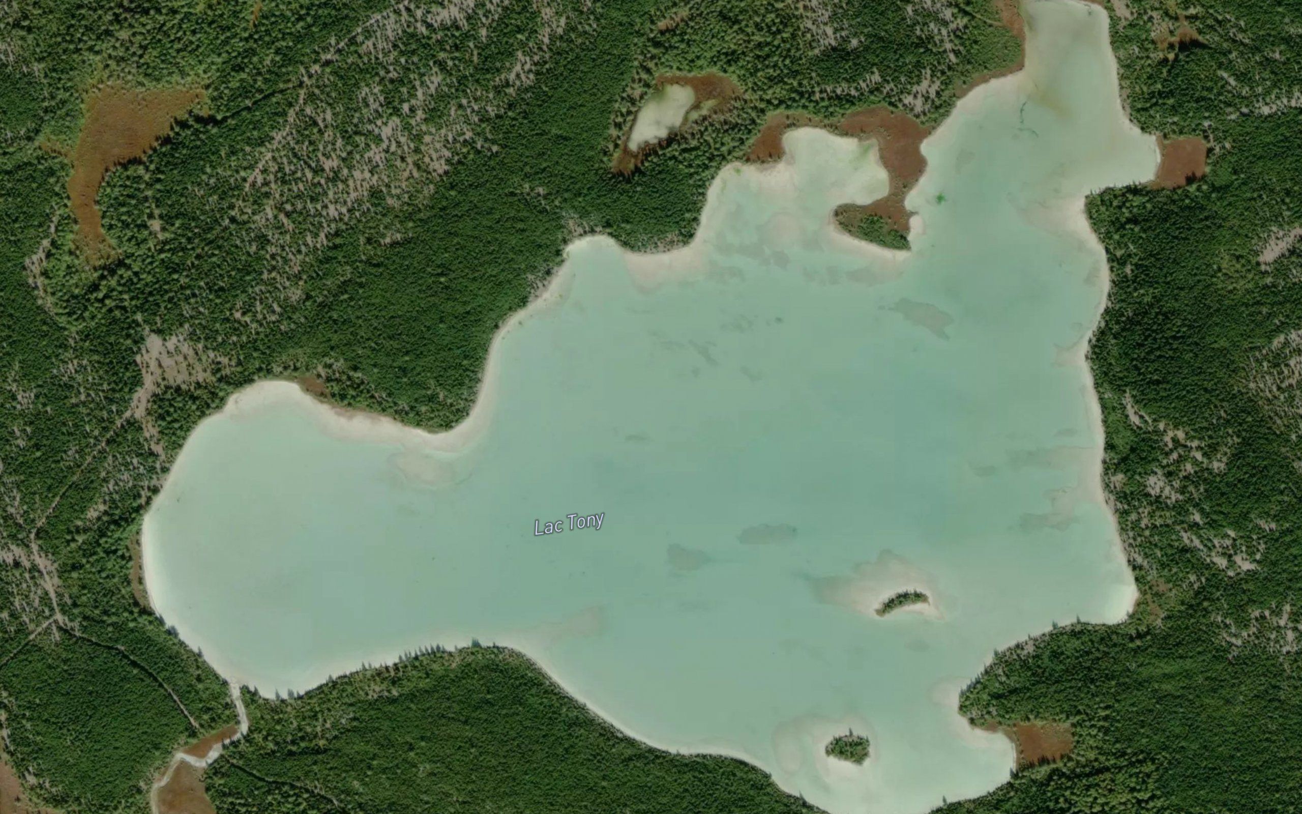 Lac Tony