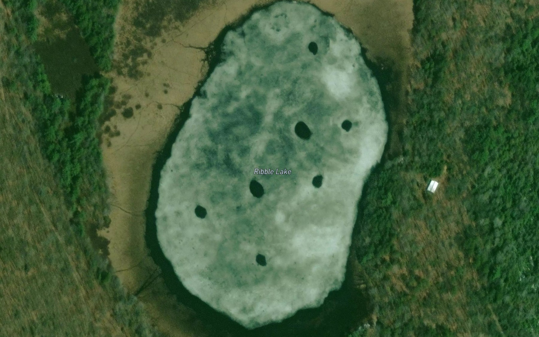Satellite map of the Ribble Lake