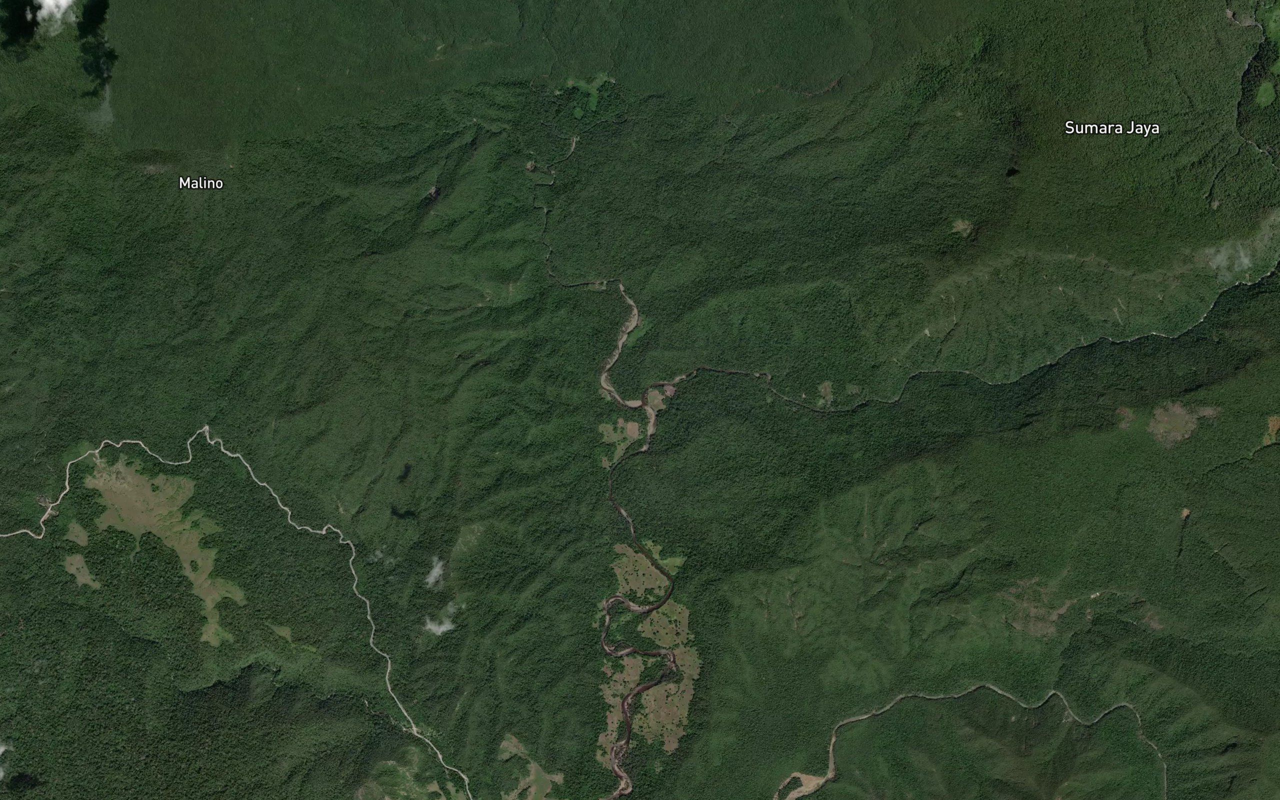 Koro Makunyi