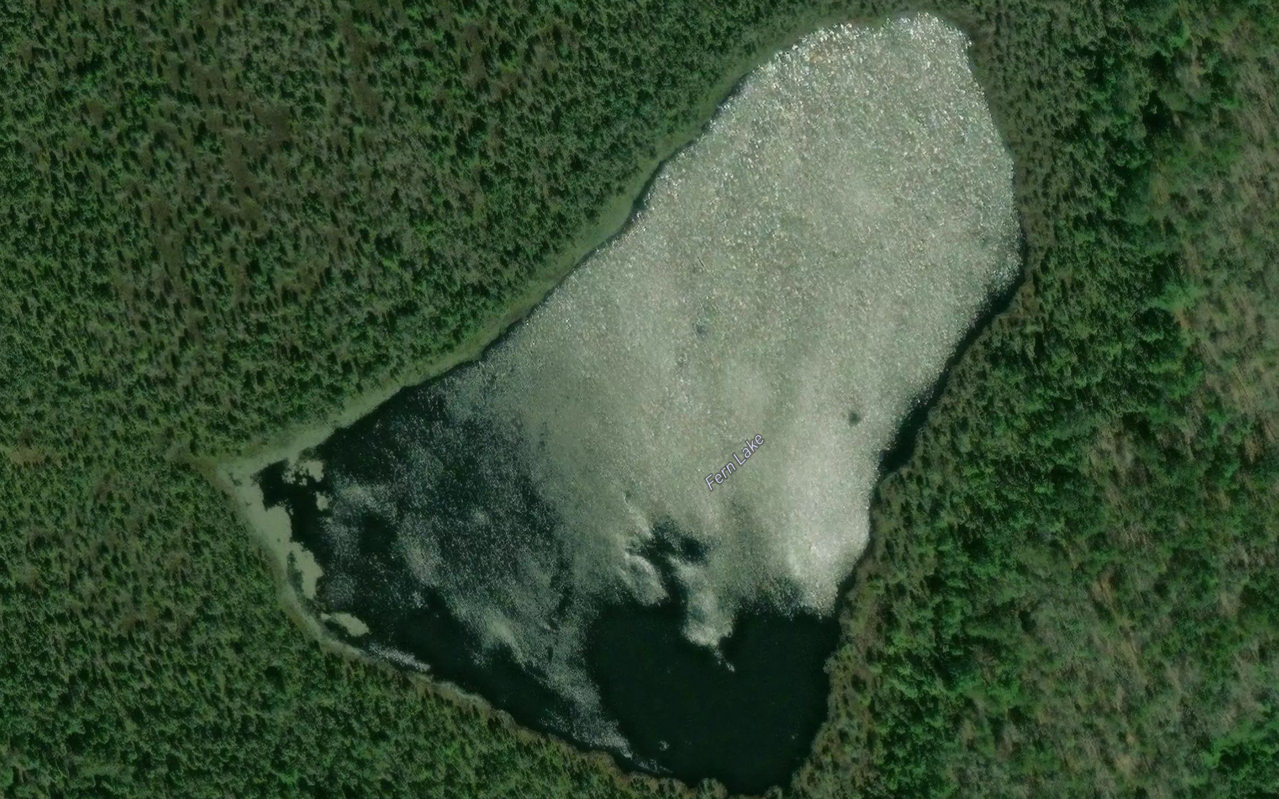 Fern Lake