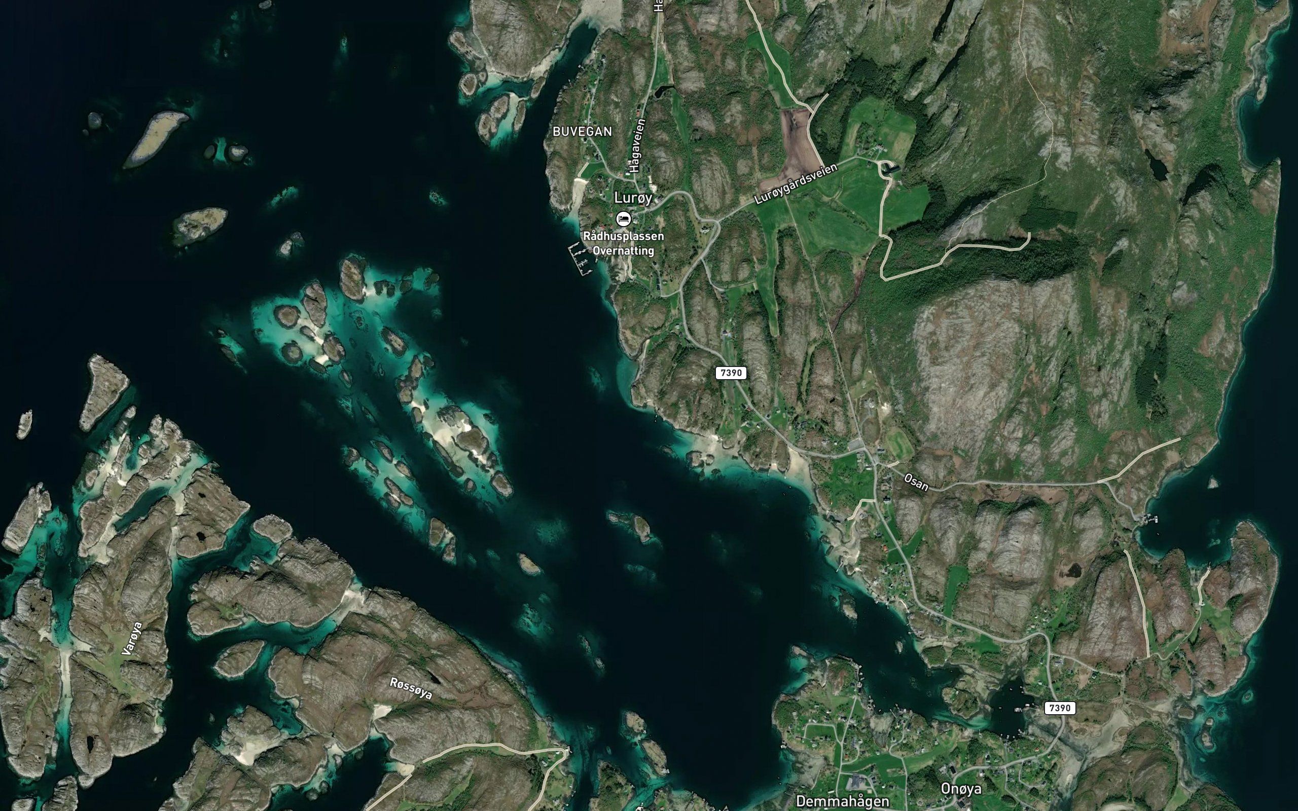 Pettevika