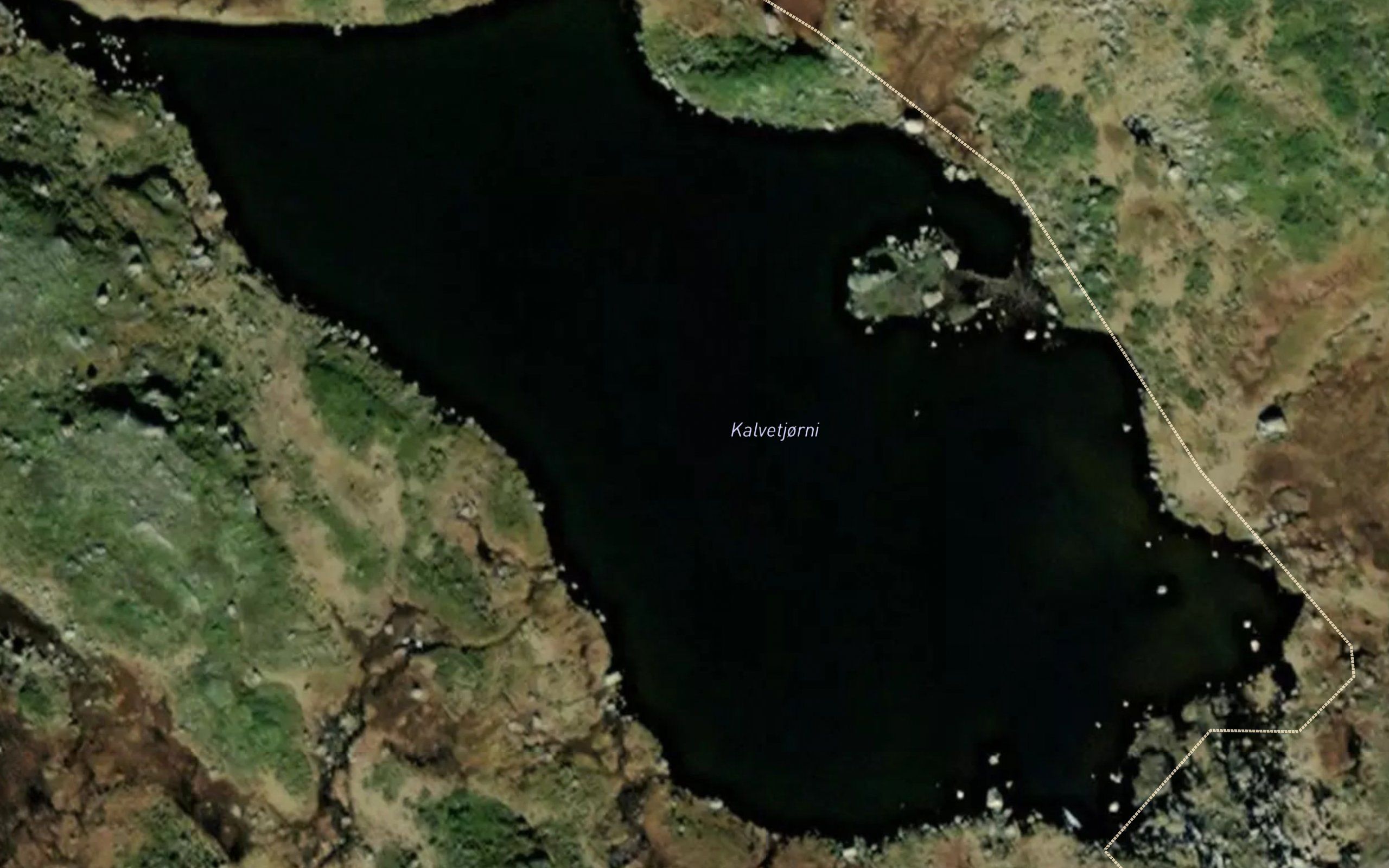 Kalvetjorni