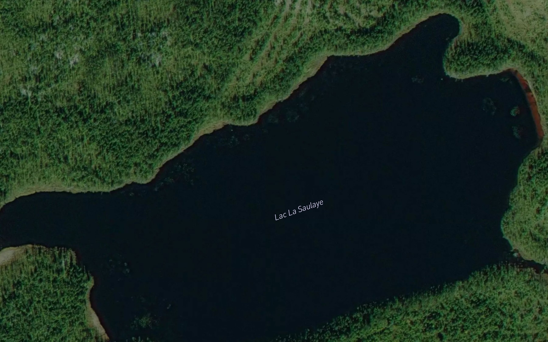 Satellite map of the Lac La Saulaye