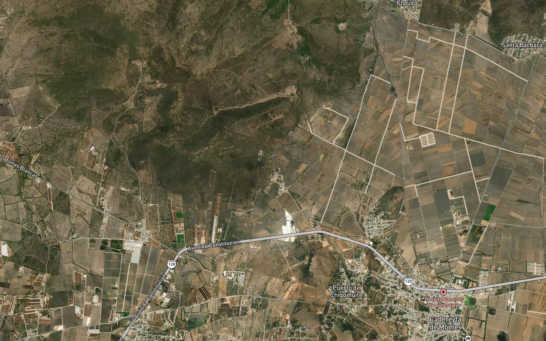 Satellite map of the Los Rios