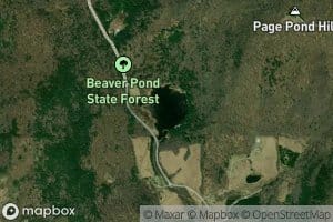 Beaver Pond