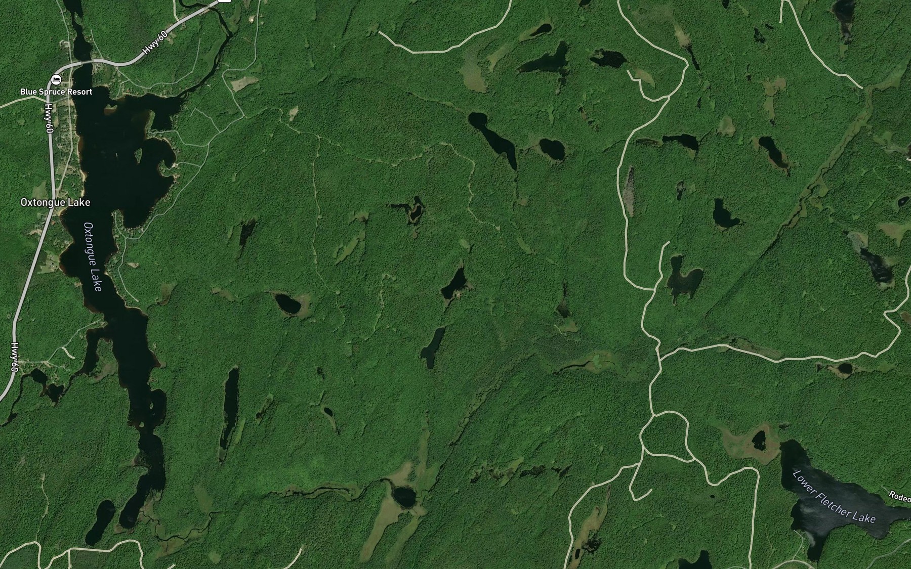 Satellite map of the Corbett Lake
