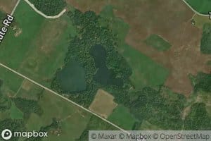 Lac Cooney