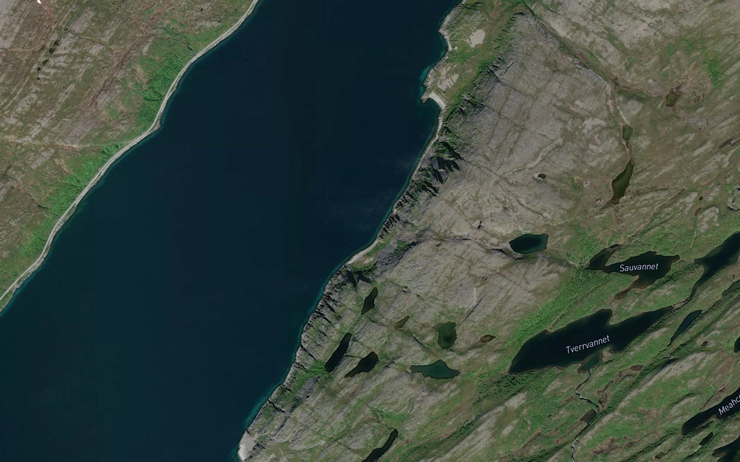Simlevika