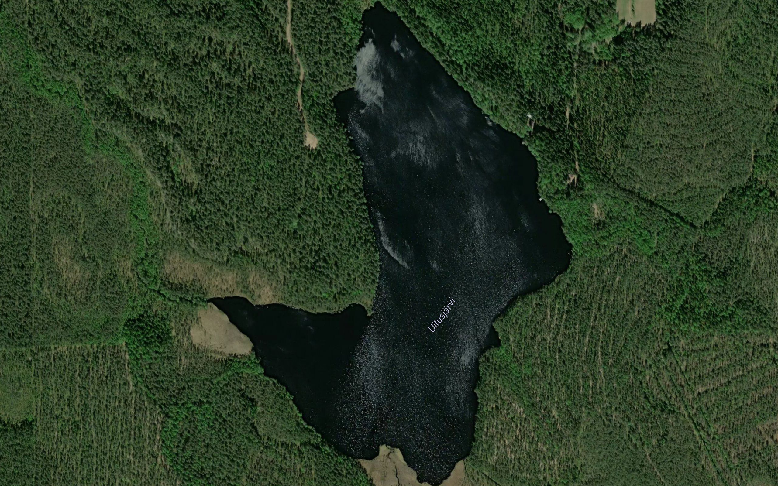 Uitusjarvi