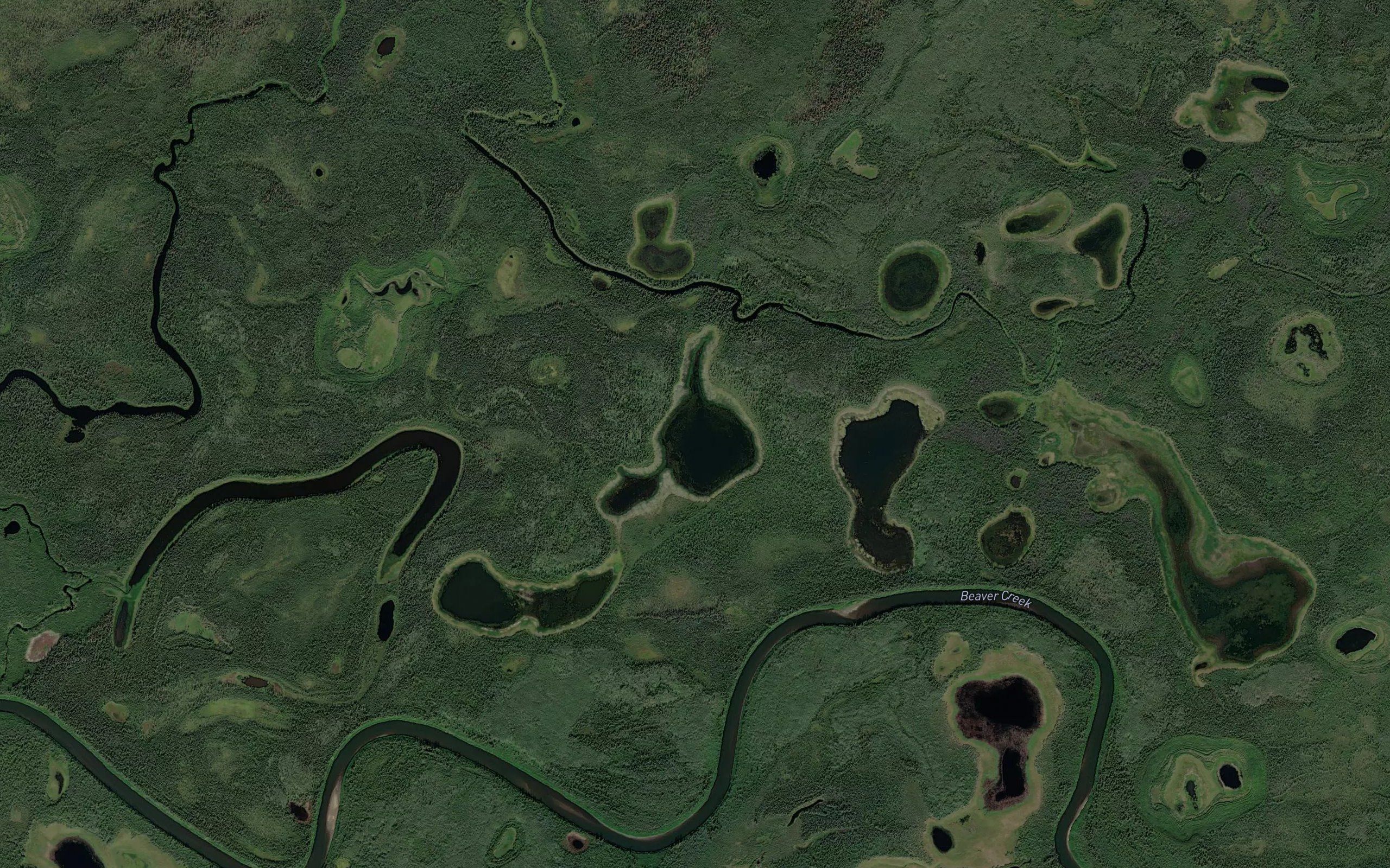 Loon Lakes