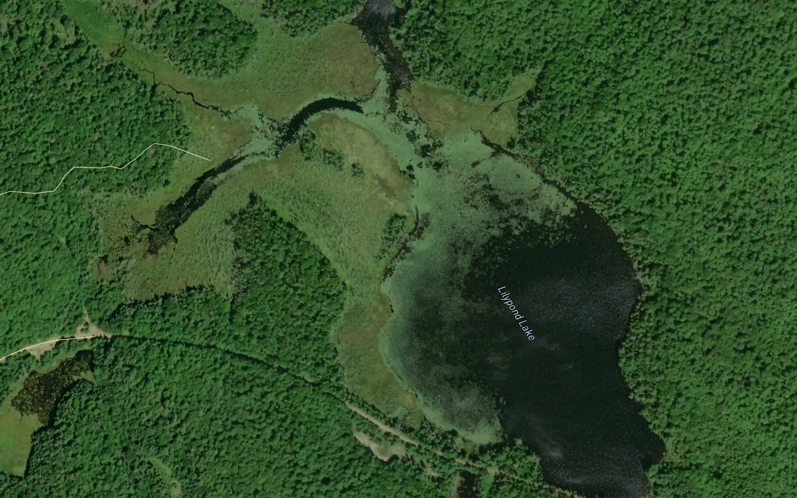 Lilypond Lake