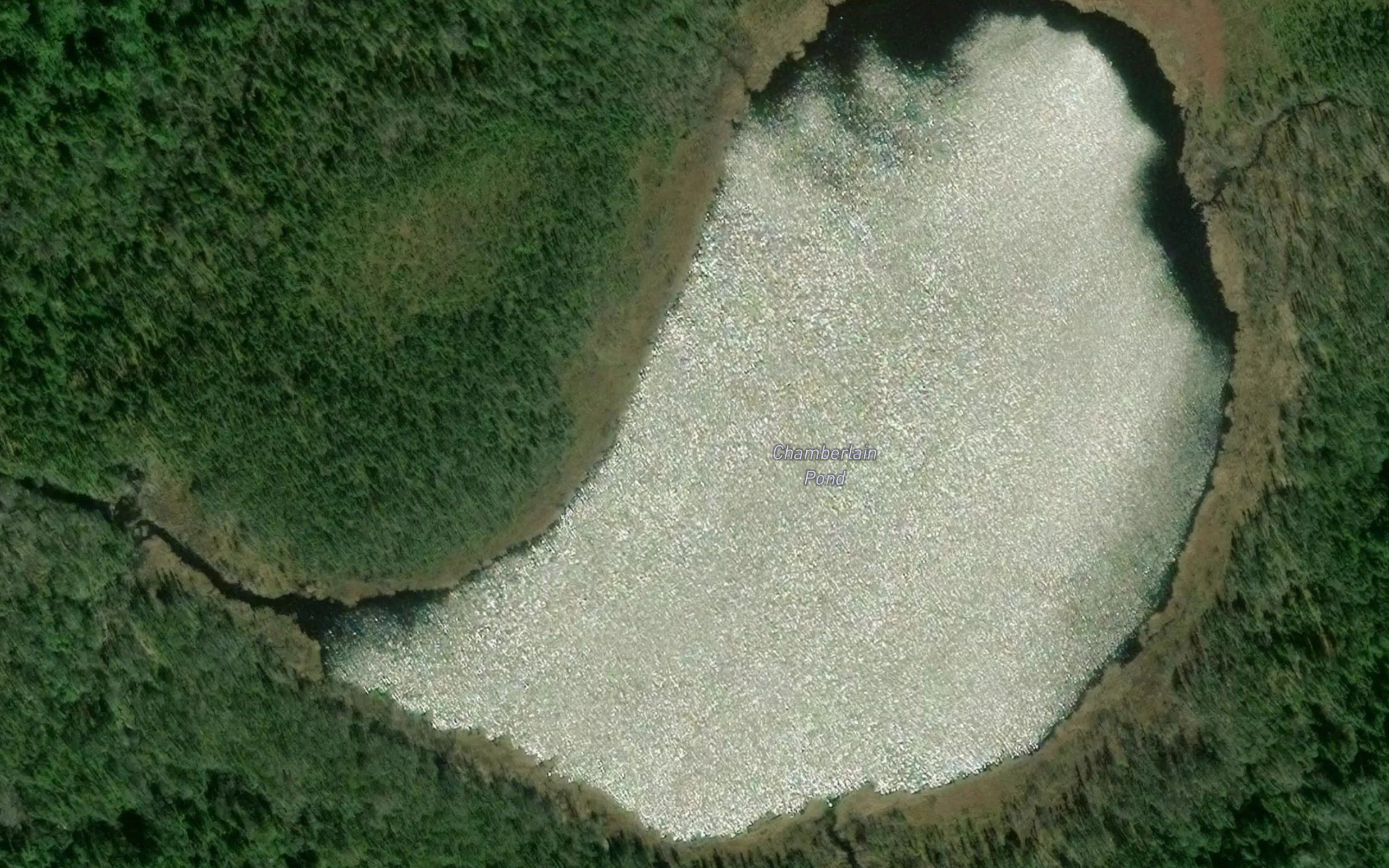 Chamberlain Pond
