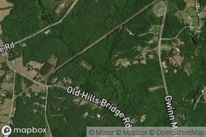 Martha Shands Branch