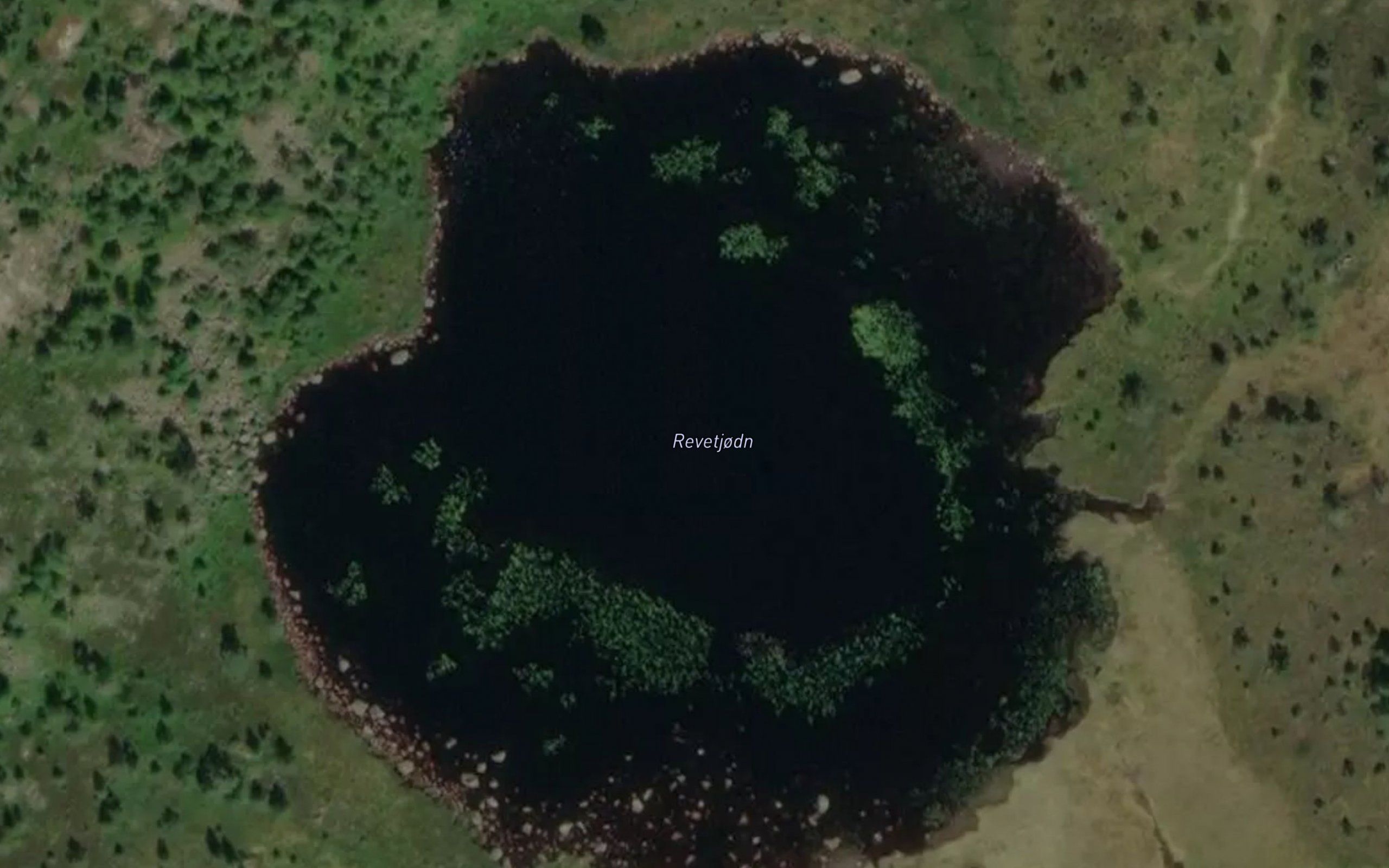 Revetjodn
